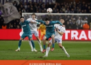 半岛体育活动-霍芬海姆主场失利，德甲保级波澜持续的简单介绍